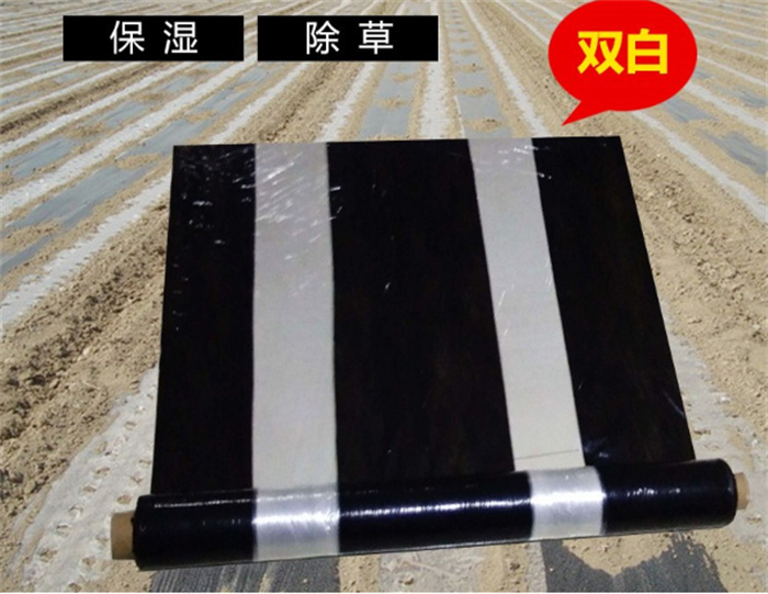 黑白地膜