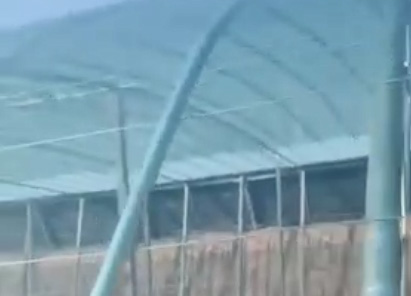 案例视频